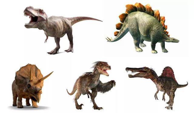去博物馆看恐龙的亲子英语(下)白垩纪之霸王龙、剑龙、三角龙