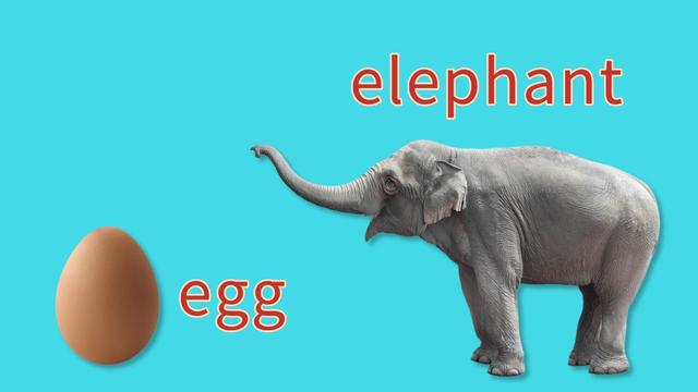 儿童英语启蒙英文字母怎么教E的亲子教学